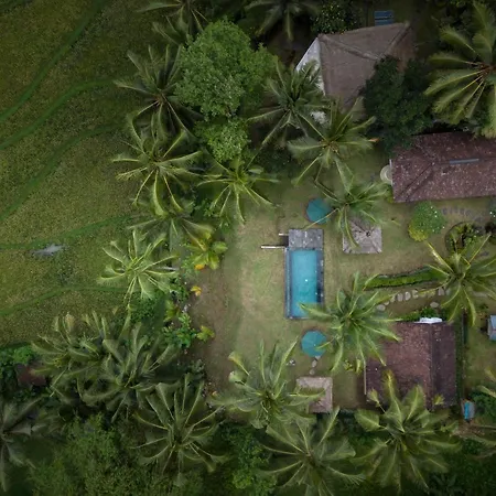 Green Sari Private Villa Ubud (Bali) Exterior photo