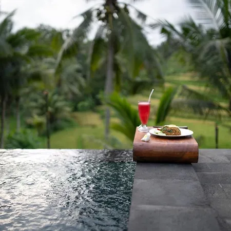 Green Sari Private Villa Ubud (Bali) Exterior photo