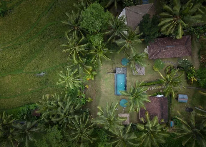 Green Sari Private Villa